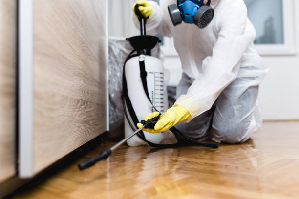 Professional Pest Control in Pine Brook, NJ