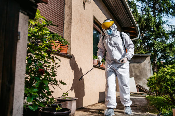 Best Wasp Removal Services  in Pine Brook, NJ
