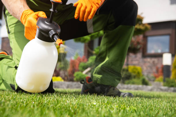 Best Best Pest Control Companies  in Pine Brook, NJ