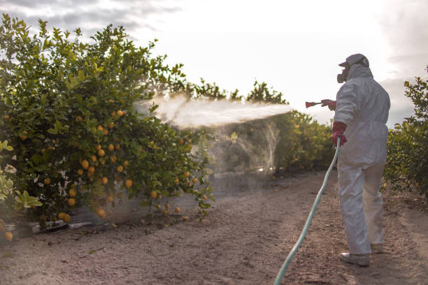Best Commercial Pest Control Services  in Pine Brook, NJ