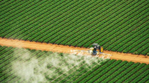 Best Pest Control Cost  in Pine Brook, NJ