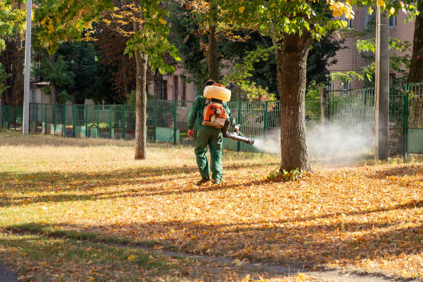 Best Affordable Pest Control Services  in Pine Brook, NJ