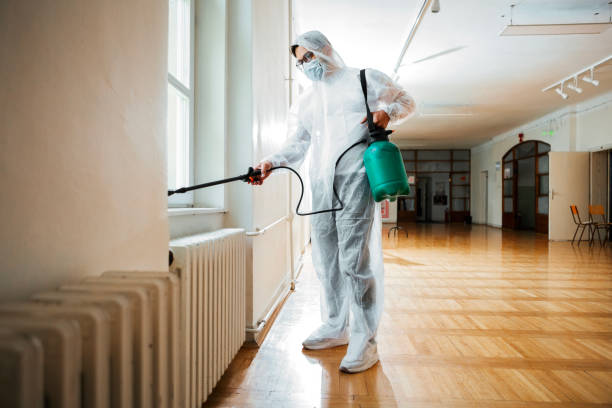 Best Termite Control Services  in Pine Brook, NJ