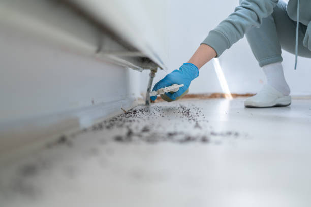 Best Cockroach Control Services  in Pine Brook, NJ