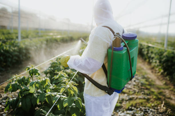 Best Commercial Pest Control Services  in Pine Brook, NJ